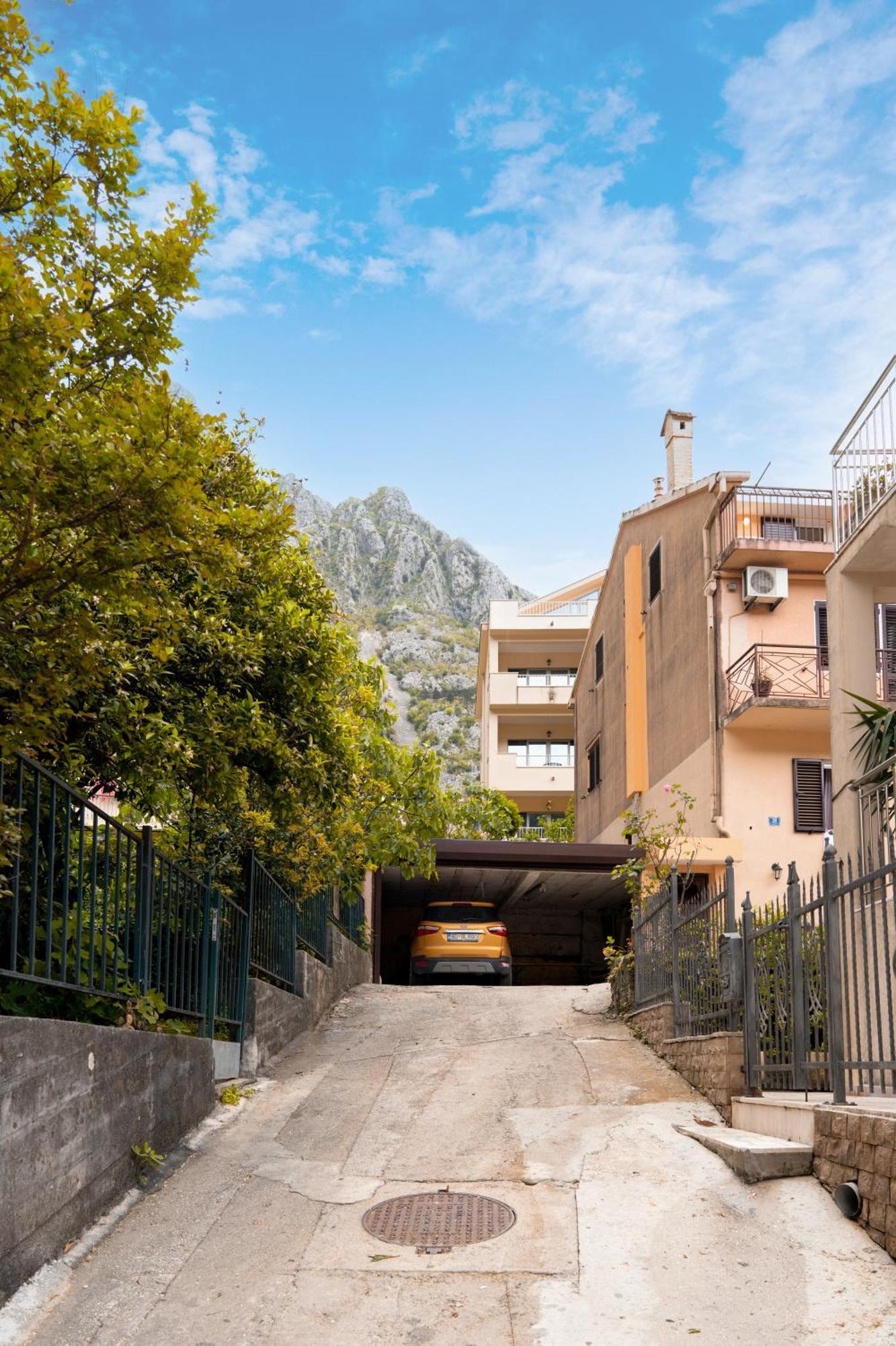 Apartment Busola Kotor Eksteriør bilde